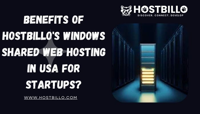 windows shared web hosting in USA